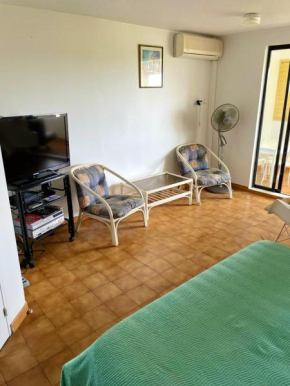 Appartement d'une chambre avec vue sur la mer balcon et wifi a Schoelcher a 1 km de la plage